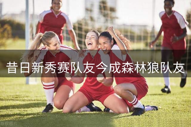 昔日新秀赛队友今成森林狼队友